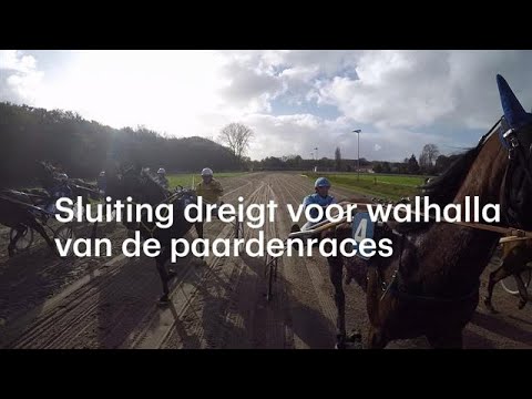 Faillissement dreigt voor Duindigt, gokkers blijven weg - RTL NIEUWS