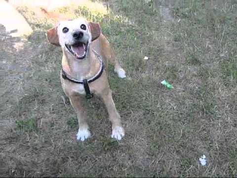 Wenn Rabea mal groß ist, wird sie ein Porsche