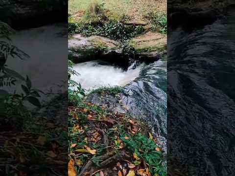 TOTALMENTE GRATUITO! 🏖️ Praia da amizade em Itaquiraí MS #cachoeiras #acampar #trilhas