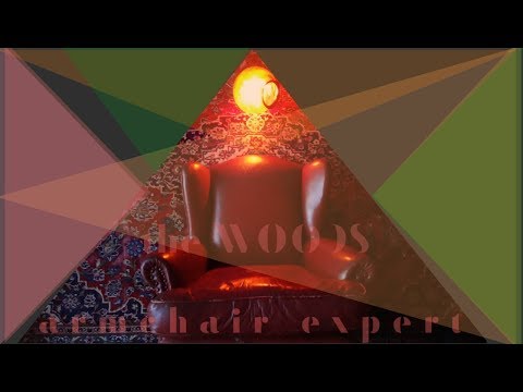 THE WOODS- Armchair Expert (Official Video)