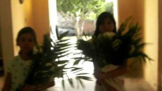 preview picture of video 'Niñas mexicanas, Cofradia Siqueros Mazatlan ,Poema a la Virgen de Guadalupe'