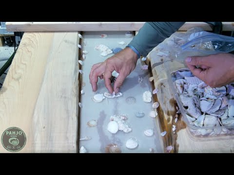 How to Set Seashells in Resin