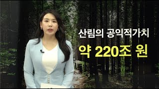 [Forest News : 2022년 9월 4주차] 포레스트 뉴스