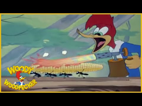 Woody Woodpecker | Redwood Sap | Full Episodes