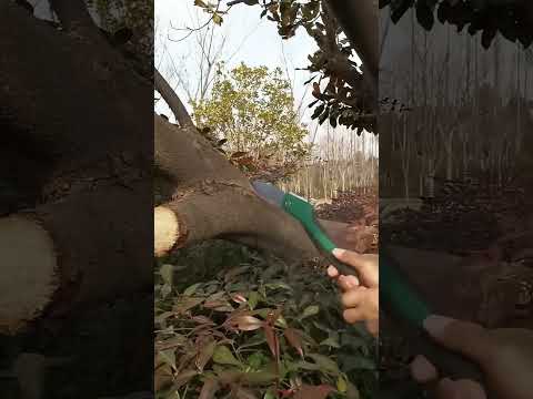 იხილეთ აღნიშნული პროდუქტის მოკლე ვიდეო მიმოხილვა