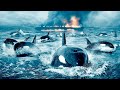 The Swarm In Minutes Movie Recap Top Recaps