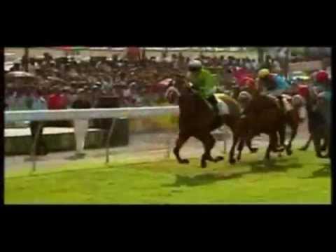 THE MAIDEN CUP...CLASS AND STAMINA IN ACTION