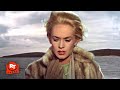 The Birds 1963 The Seagull Attack Scene Movieclips