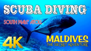 Scuba Diving in Maldives South Male Atoll -Relaxing Music With Coral Reefs &amp;amp; Colorful Sea Life in 4K
