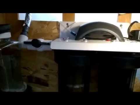 The turtle's old home