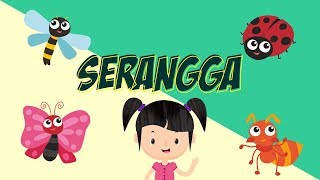 Belajar Mengenal Nama-nama Serangga | Bunbun Learning Insect