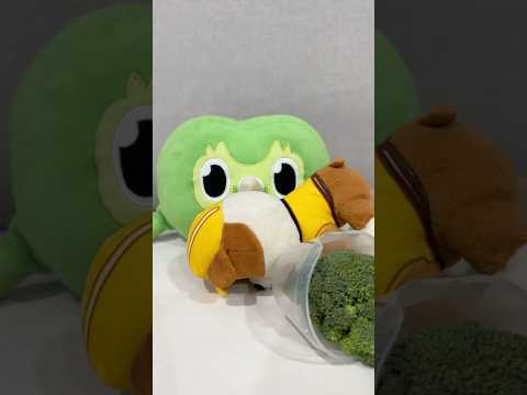 Unexpected Duo Owl Funny Chaos IRL 🦉 Viral Crazy Moments