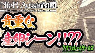 【NieR:Automata】機械生命体から機械生命体が生まれる⁉︎なにこれ？ヒ〇ギフ大〇領の貴重な産卵シーンか何ですか？【かなえのゲーム実況】【アイフォレームゲームズ】Part3