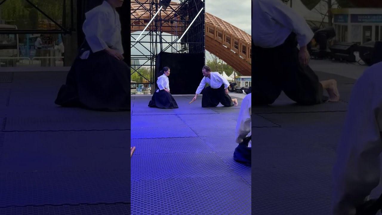 Aikido Embukai in Chengdu by Satomi Ishikawa 6 Dan