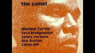 THE CAMEL