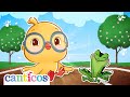 Boo Boo Song The 5 Senses Preschool Toddler Learning Nursery Rhymes Kids Songs Canticos