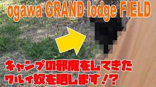 ソロキャン中にワルイ奴か来た！？【前編】ogawa GRAND lodge FIELD