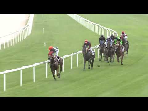 2020.06.21. 04. futam - BÁBOLNAI DÍJ (Elit kat.)