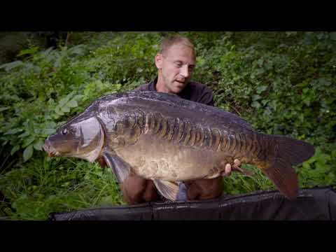 ProjektQ - Mario fängt 19kg Zeilenkarpfen