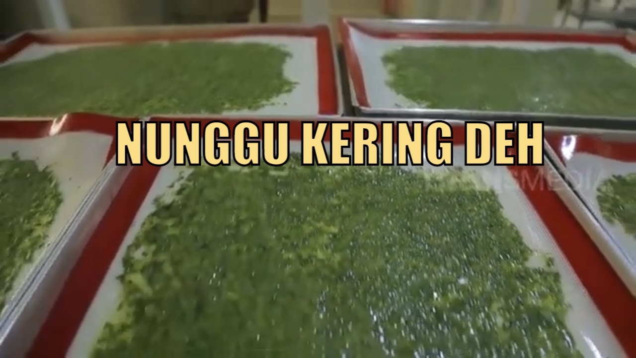 Uniknya Nori Sayur Kale Camilan Sehat Disukai Anak Anak | SI UNYIL (08/07/20) PART 1