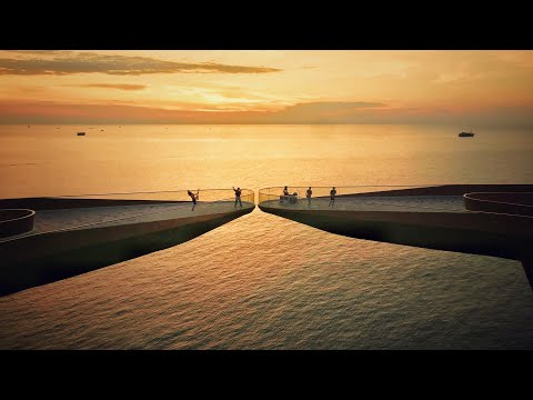 Hoa mặt trời - Bức Tường