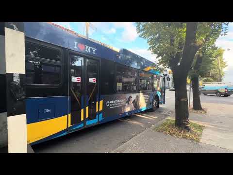 B20 Bus