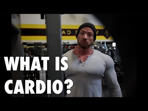 Justin Lovato Shoulder & Circuit Training