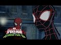 Spidey Vs Vampires Marvel S Ultimate Spider Man Vs The Sinister Six Ep 18