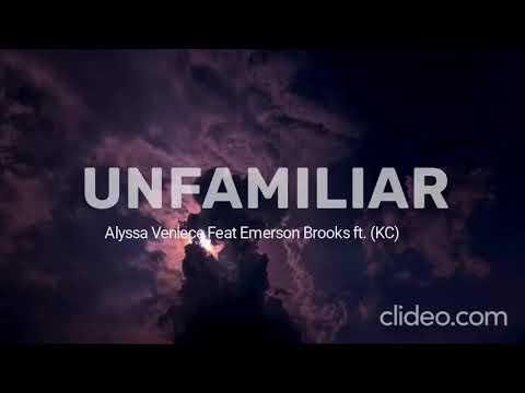 WavDust - Alyssa Veniece Feat Emerson Brooks  Unfamiliar (Remix)