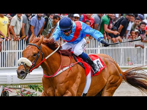 The Mauritius Telecom Barbe cup 2025(Group 1)- Itsrainingwilliam 