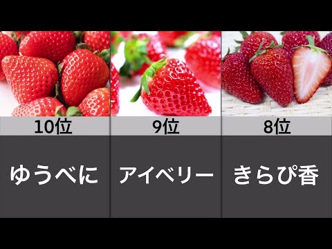 園芸 イチゴの最高品種