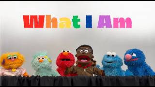 Sesame Street 💥WHAT I AM 💥 A KD Productions Puppet Show