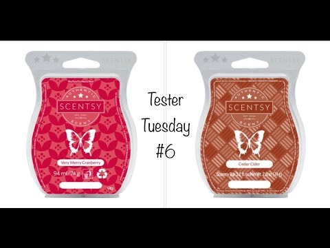 Tester Tuesday #6 - Very Merry Cranberry & Cedar Cider (Scentsy)