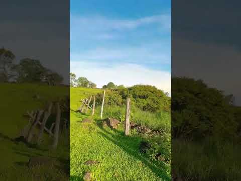 Corinto morazán             #tradiciones #naturale