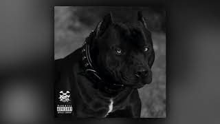 CURSED x AKOZA - REVELATION II