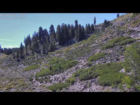 June Mountain webcam — June Patrol Cam (8,681 ft)