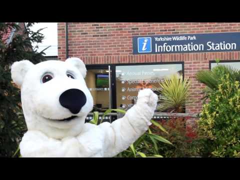 YWP Recruitment Drive 2017