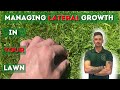 How to manage lateral growth in your lawn