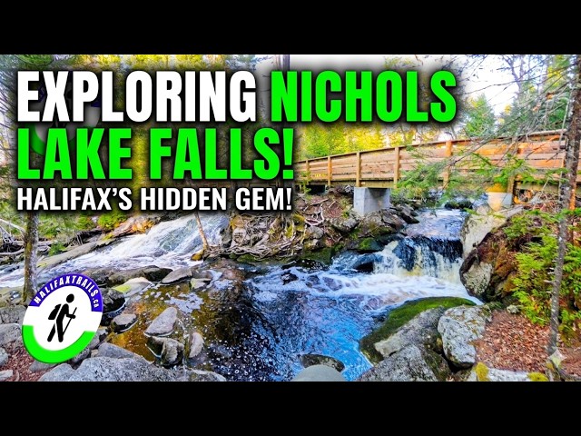 Trail Video Preview