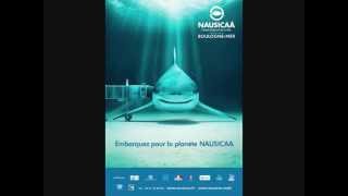 Michel Redolfi - Nausicaa - Escalier Du Plancton