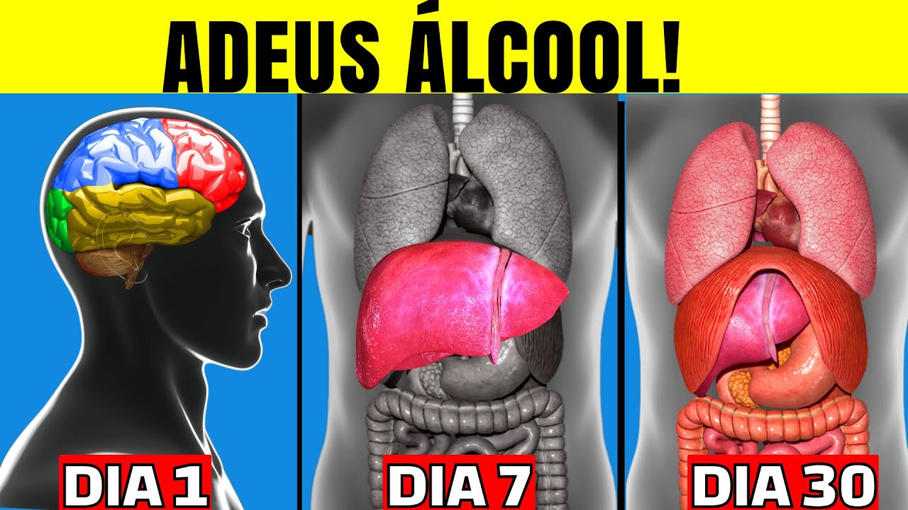See what happens to your body when you stop alcohol | Health benefits of LIVER DETOX for 30 DAYS