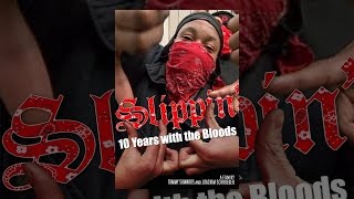 Slippin: Ten Years with the Bloods