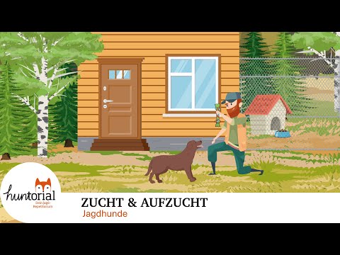 , title : 'Jagdhunde Zucht & Aufzucht – alles was du für die Jägerprüfung wissen musst'