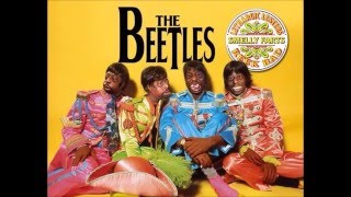 Beetlejuice Song - This is Beetle