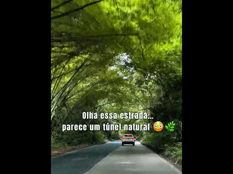 Isso fica em Pernambuco 🫢