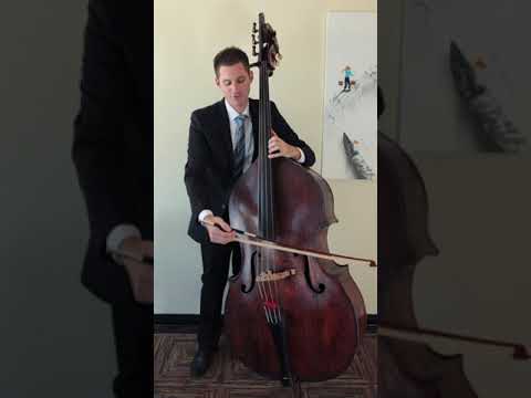 Playing Double Stops or Two Notes at Once on the Double Bass (Upright Bass)