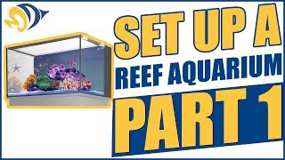 innovative marine 38 gallon