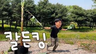 바나나 나무는 나무가 아니라고?