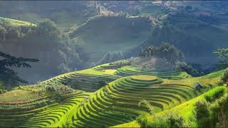 The Side of a Hill - Simon &amp; Garfunkel: with Lyrics(가사번역)