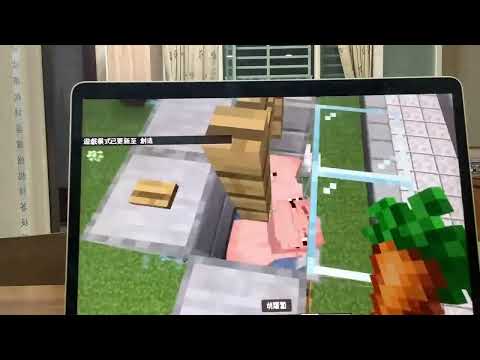 建國國小國小麥塊SDGs聯合國永續發展目標 賴O瑞-麥塊SDGs程式競賽-113學年第一學期